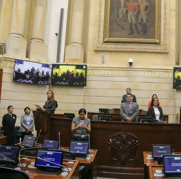 Senado aprobó ampliación de cupo de endeudamiento solicitada por el Minhacienda