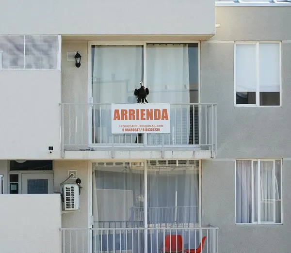 Colombianos deberán cuidarse de estafas al buscar casa en arriendo: recomendación