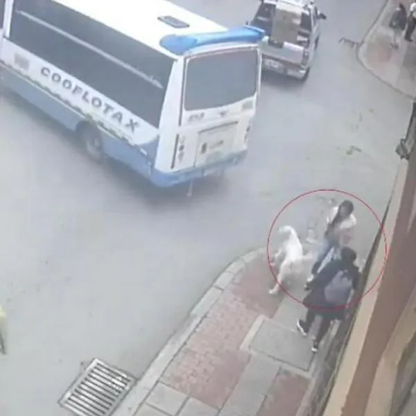 Momento en el que un bus en Tunja se queda sin frenos y atropella a una mujer