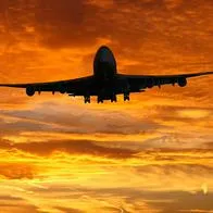 Viajeros bebieron de más y le dieron alas a bochornoso 'show' en vuelo; golpearon a policía