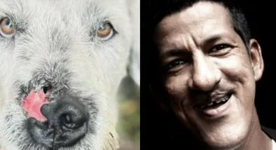 Perros para adopción en Bogotá: cuatro casos de peludos de difícil adopción y que buscan un hogar lleno de amor y los cuidados necesarios.