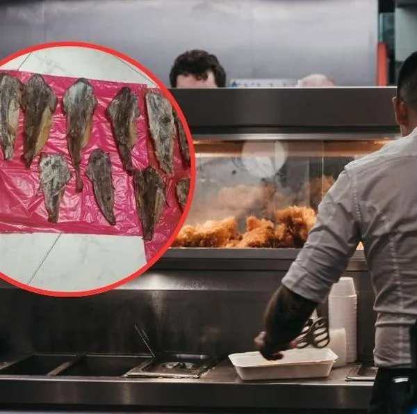 Restaurante en Bogotá vendía carne de tiburón que está en vía de extinción: iniciaron sanciones