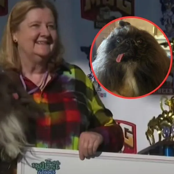Wild Thang es el perro más feo del mundo: esta es la enfermedad que tiene