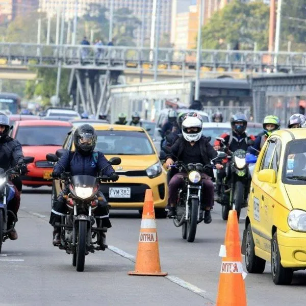 Runt sigue caído y multas de tránsito y trámites están frenados: hasta cuándo