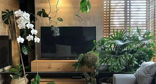 image_desktop
