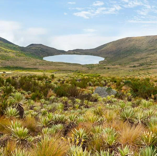 ¿Cuál es el páramo más grande de Colombia? 
