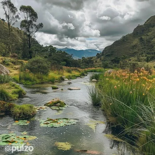 ChatGPT escogió los mejores parques naturales del Meta para visitar y llevar a toda la familia. Este departamento se caracteriza por lugares muy hermosos.