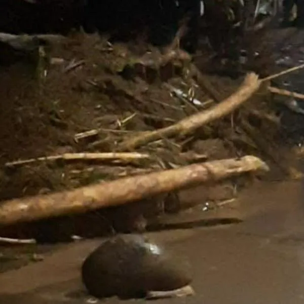 Emergencia por lluvias en Venecia Antioquia dejó varios heridos y desaparecidos