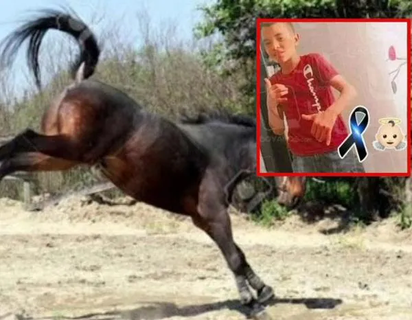 ¡Lamentable! Niño murió tras recibir patada en el abdomen por parte de un caballo