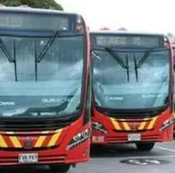Transmilenio anunció importante cambio con sus buses y bogotanos podrán verlo desde 2025
