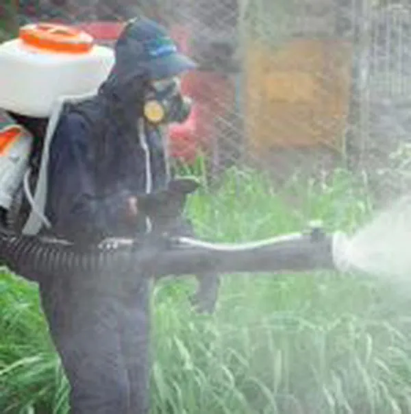 24.821 casos de dengue se registraron en Cali este semestre