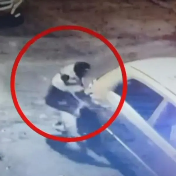 Desmantelan peligrosa banda dedicada al paseo millonario en Bogotá: hizo más de 48 atracos