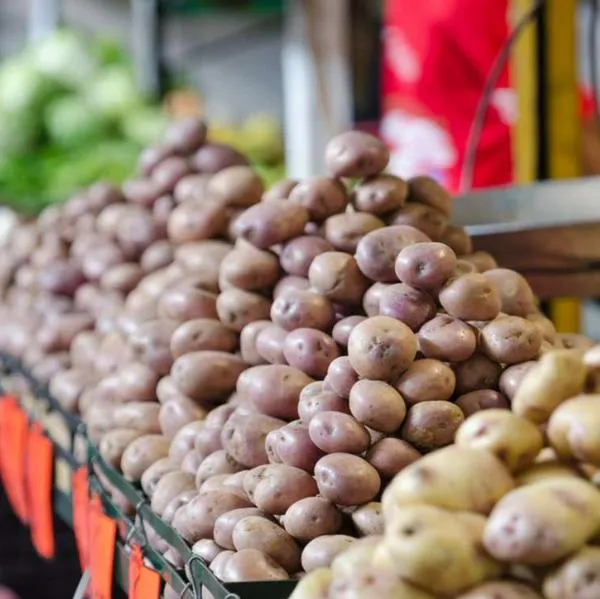 Precio de papa hoy en Colombia y Corabastos y si se debe comer con o sin cascara