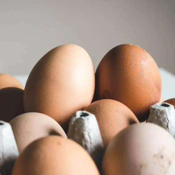 ¿Hasta cuántos huevos a la semana se pueden consumir? Esto dicen los expertos