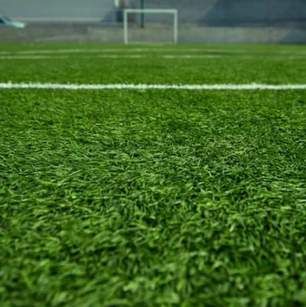 Países Bajos prohibirá canchas sintéticas en la Eridivisie, por ser cancerígenas
