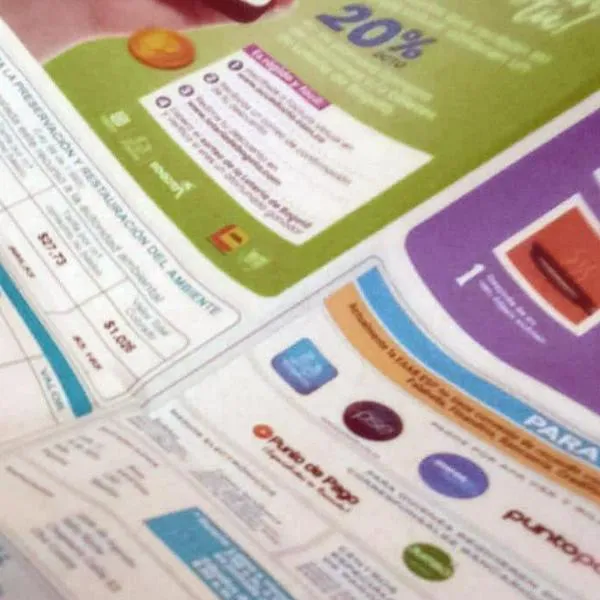 Enel Codensa confirmó plata que mandó a regiones para ayudar al medio ambiente