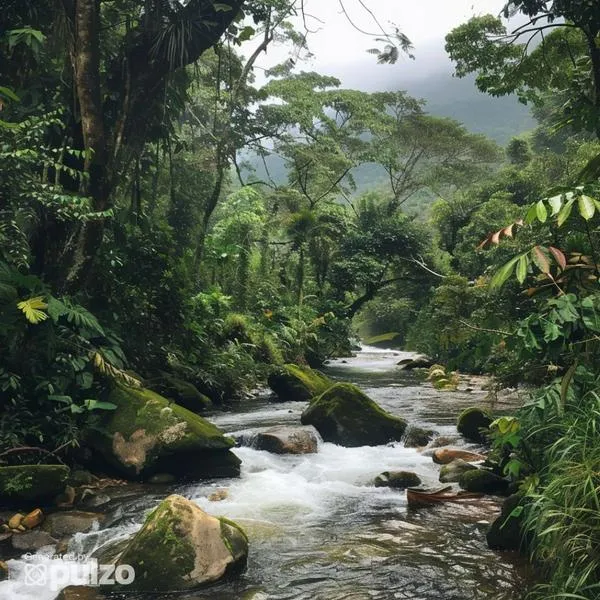 Mejores parques naturales del Valle del Cauca para llevar a toda la familia, según ChatGPT. Esta región es conocida por sus paisajes increíbles.