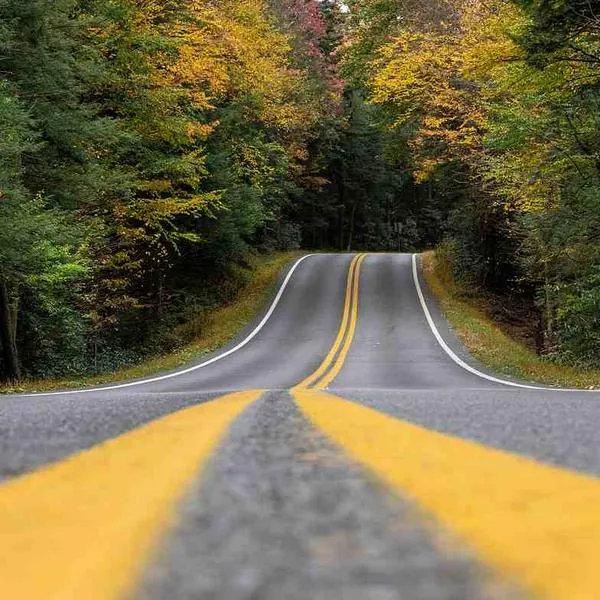 Foto de carretera, en nota de cuál es la diferencia entre una línea amarilla y doble línea amarilla en la vía