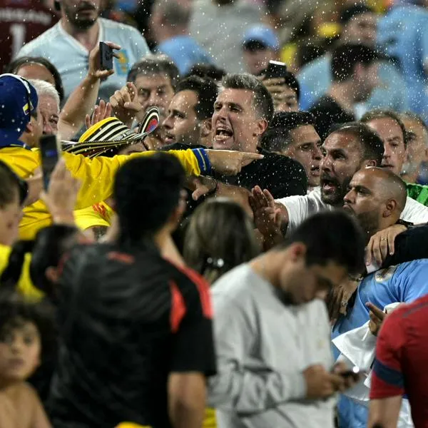 Momento de la pelea en las tribunas entre hinchas de Colombia y jugadores de Uruguay y sus familiares, en Copa América