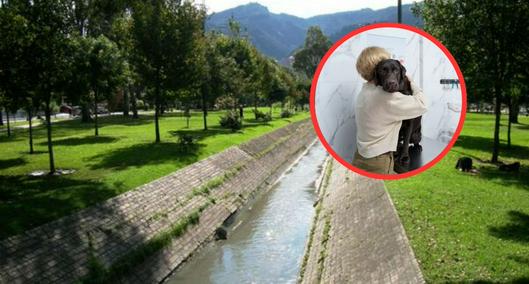 Parque el Virrey, en Bogotá: denuncian que estarían envenenando a perros