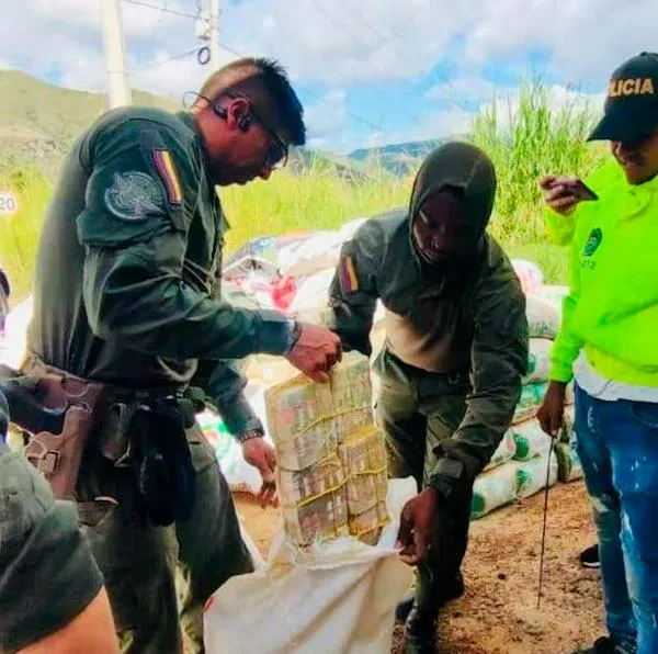 Policía incautó $ 3 mil millones escondidos en comida para perro en Nariño
