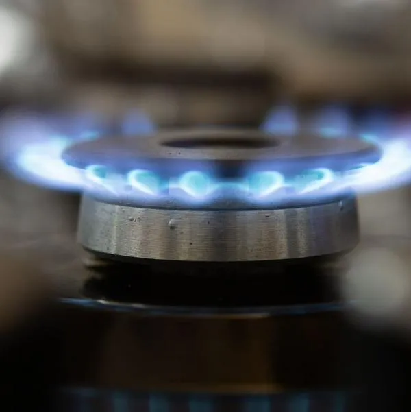 Cocinar con estiércol en Colombia reduciría contaminación e impacto ambienta