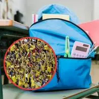 ¿Clases o fútbol? Colegios en Bogotá no gambetearon a Colombia y hablaron del día cívico