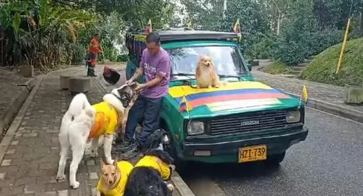 Crean selección de perros para apoyar a la Selección Colombia; incluso tienen hasta carro oficial y les crearon barra propia para apoyar al equipo. 