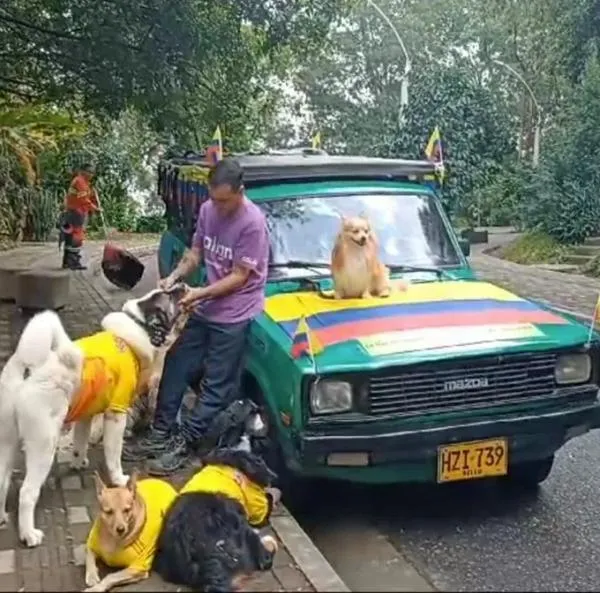 Crean selección de perros para apoyar a la Selección Colombia; incluso tienen hasta carro oficial y les crearon barra propia para apoyar al equipo. 
