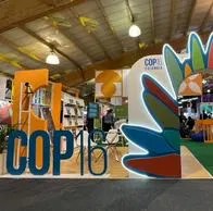 Piden que ataques contra líderes indígenas y ambientales también sean tratados en la COP16
