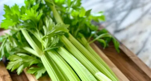 Conozca cómo desinfectar el apio para quitarle los gusanos y evitar su consumo. Este alimento es rico en vitaminas y antioxidantes.