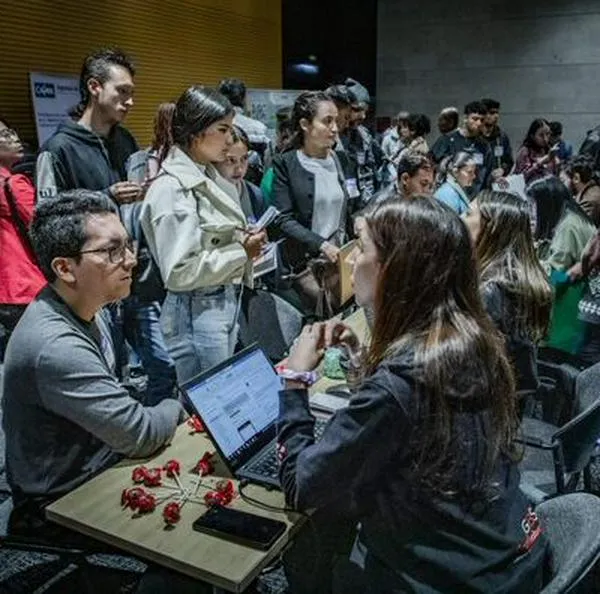 ¿Busca dónde hacer sus prácticas profesionales? Distrito lanzó convocatoria