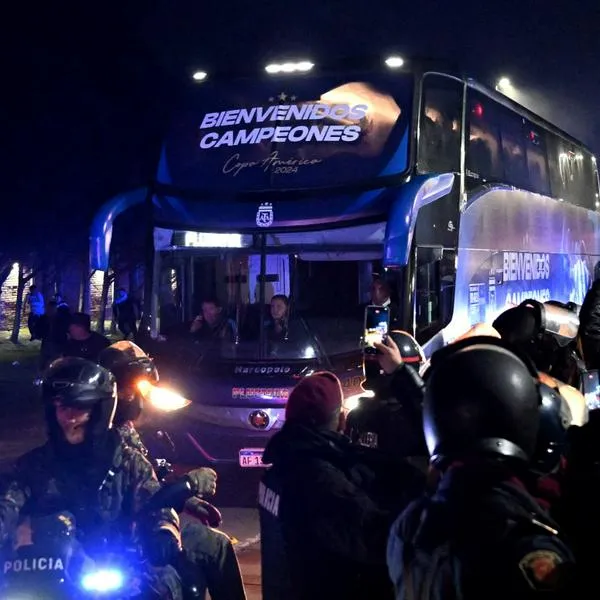 Recibimiento de la Selección Argentina en Buenos Aires. 
