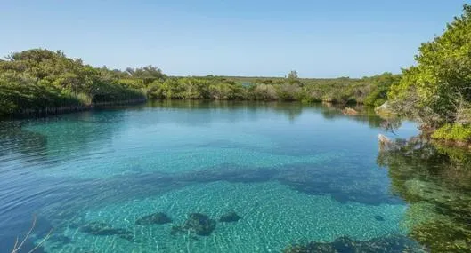 ChatGPT enlistó las lagunas más hermosas y mágicas de Colombia que no se puede perder y que debe visitar con su familia o amigos para apreciar sus paisajes.