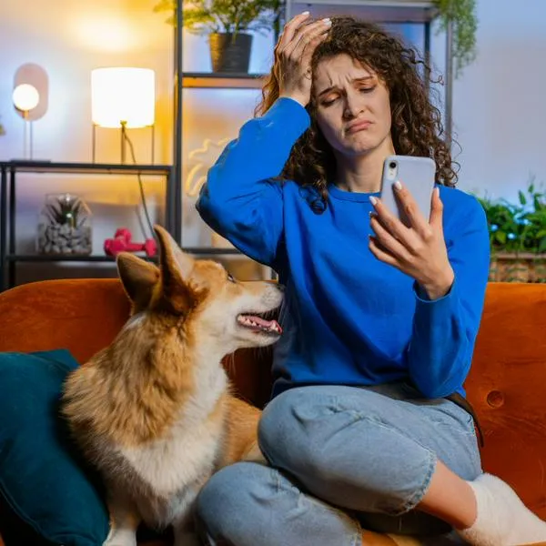 Personas con mascotas en Colombia ahora pagan más por comida para perros y gatos