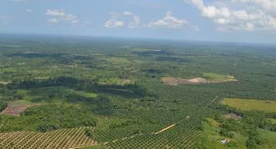 Catatumbo: comunidades de 8 municipios PDET de Norte de Santander hablan de paz 