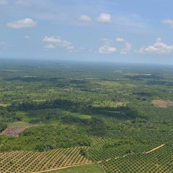 Catatumbo: comunidades de 8 municipios PDET de Norte de Santander hablan de paz 