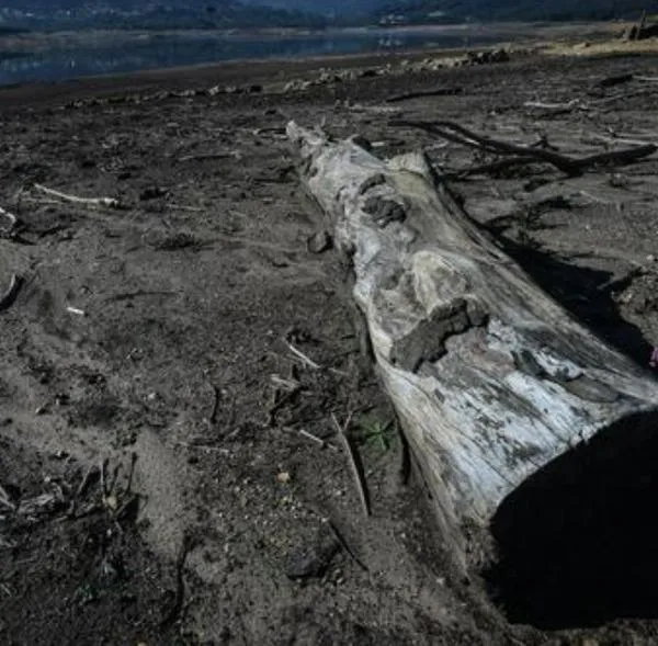 Por qué Chingaza surte de agua a Bogotá y desde cuándo: detalles