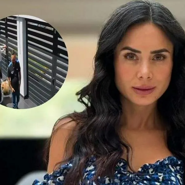 Johanna Fadul cuenta el fuerte robo que sufrió su mamá y muestra en video a los ladrones