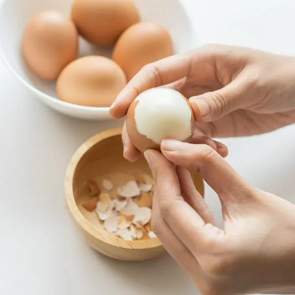 Cómo conservar los huevos.