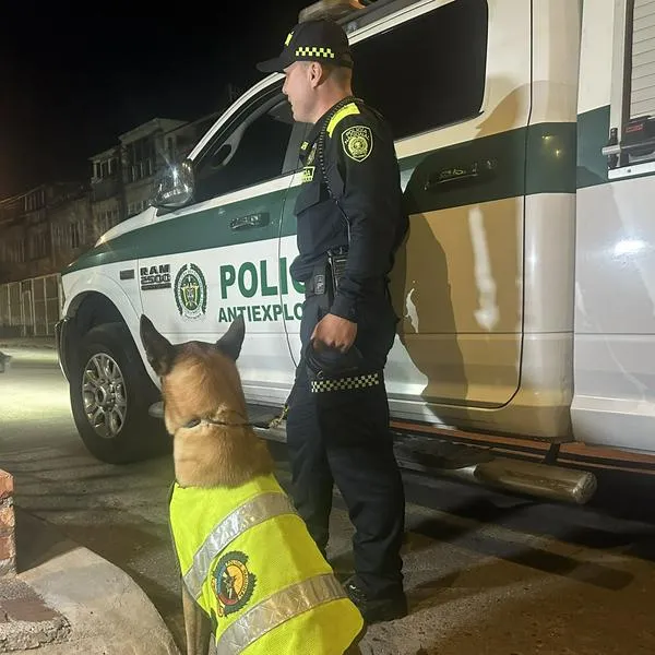 Detalles sobre explosivo encontrado en Bogotá. 