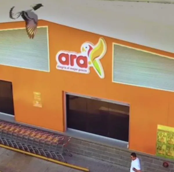 Ara sacó olla a presión con buen precio. 