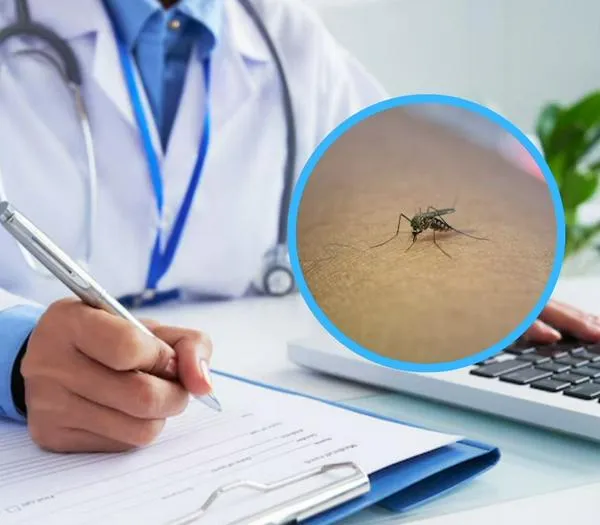 Alerta en Colombia: aumentaron casos del virus transmitido por mosquitos y jején