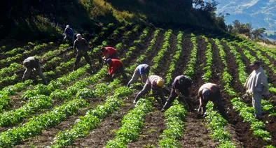Asociaciones campesinas del Catatumbo hablan del cese al fuego con disidencias