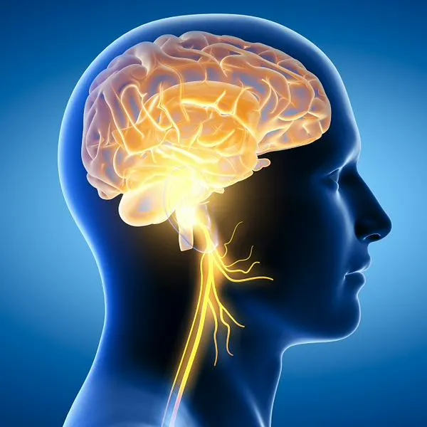 Cerebro