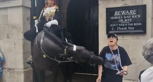 Turista en Londres fue mordida por caballo de la Guardía Real mientras se tomaba una foto: video y qué le pasó