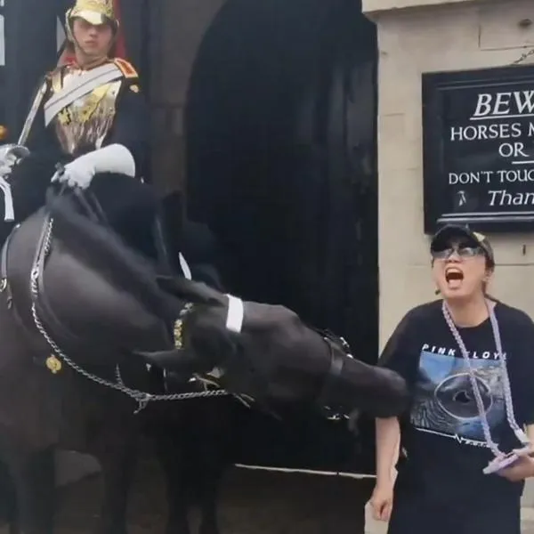 Turista en Londres fue mordida por caballo de la Guardía Real mientras se tomaba una foto: video y qué le pasó