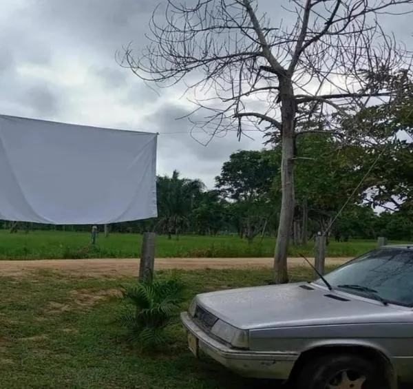 Eln secuestró a líder social en Puerto Rondón, Arauca: quién es y cómo pasó