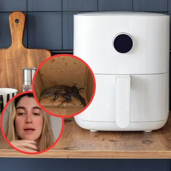 Ella es la mujer que en redes aseguró que pidió una 'air fryer' y le llegó con un lagarto vivo