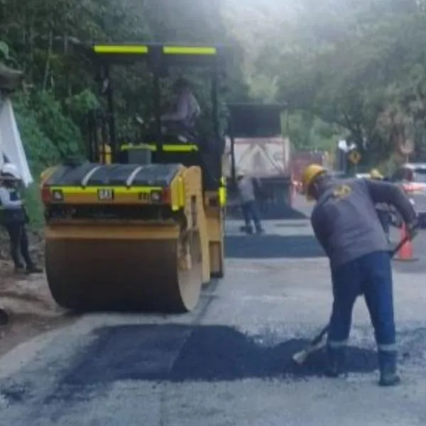 Habitantes siembran árboles en huecos vía Bogotá - Medellín por su pésimo estado
